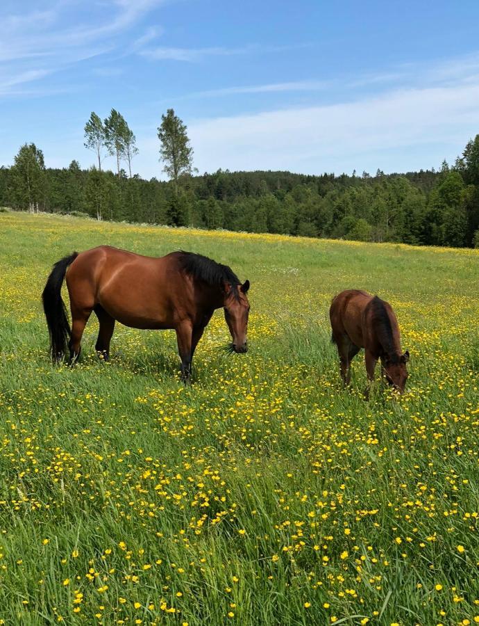 Torpgarden Oennerudsvaegen 56 Daire Torsby Dış mekan fotoğraf