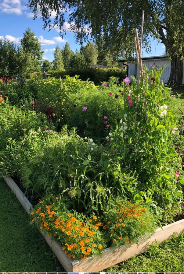 Torpgarden Oennerudsvaegen 56 Daire Torsby Dış mekan fotoğraf