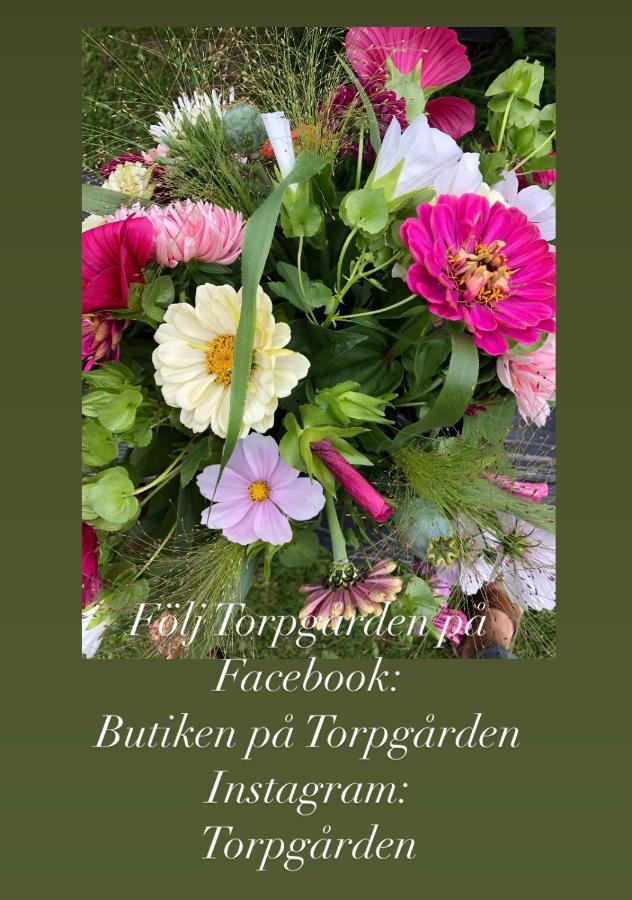 Torpgarden Oennerudsvaegen 56 Daire Torsby Dış mekan fotoğraf