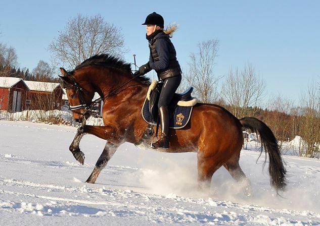 Torpgarden Oennerudsvaegen 56 Daire Torsby Dış mekan fotoğraf